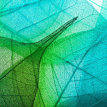 Global Vision Logistics